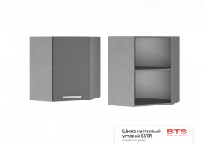 ШКАФ НАВЕСНОЙ УГЛОВОЙ 6УВ1 (600Х600Х720Х311) КГ Крафт в Миассе - miass.ok-mebel.com | фото